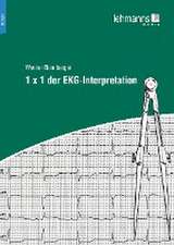 1 x 1 der EKG-Interpretation