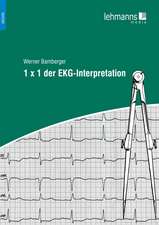 1 x 1 der EKG-Interpretation