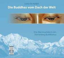 Die Buddhas vom Dach der Welt