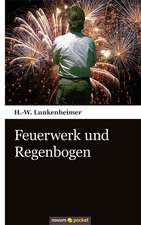 Feuerwerk und Regenbogen