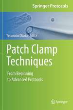 Patch Clamp Techniques: From Beginning to Advanced Protocols