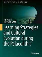 Learning Strategies and Cultural Evolution during the Palaeolithic