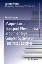 Magnetism and Transport Phenomena in Spin-Charge Coupled Systems on Frustrated Lattices