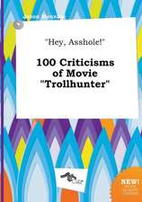 Hey, Asshole! 100 Criticisms of Movie Trollhunter