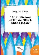 Hey, Asshole! 100 Criticisms of Movie Black Snake Moan