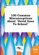 100 Common Misconceptions about David Goes to School