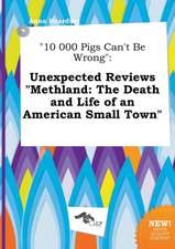 10 000 Pigs Can't Be Wrong: Unexpected Reviews Methland: The Death and Life of an American Small Town