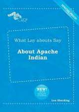 What Lay Abouts Say about Apache Indian