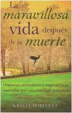 Maravillosa Vida Despues de La Muerte: It's a Wonderful Afterlife English