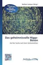 Das geheimnisvolle Higgs-Boson