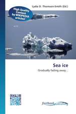 Sea ice