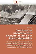 Synthese de Nanostructure D'Oxyde de Zinc Par Electrodeposition