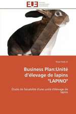 Business Plan: Unite D Elevage de Lapins Lapino