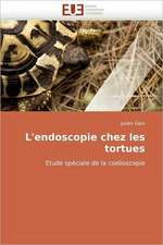 L'endoscopie chez les tortues