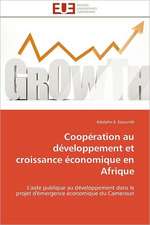 Cooperation Au Developpement Et Croissance Economique En Afrique: Une Etude Semantique de La Totalite