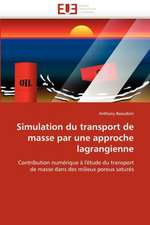 Simulation du transport de masse par une approche lagrangienne