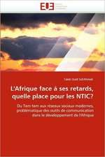 L'Afrique Face a Ses Retards, Quelle Place Pour Les Ntic?: Proprietes Magnetiques