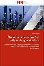 Étude de la nocivité d'un défaut de type éraflure