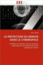 La Protection Du Mineur Dans Le Cyberespace: Integration Economique, Instabilite Et Vulnerabilite Sociale