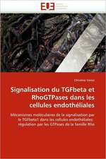 Signalisation du TGFbeta et RhoGTPases dans les cellules endothéliales