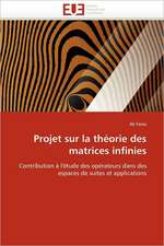 Projet Sur La Theorie Des Matrices Infinies: de L''Objet Mediatique A L''Instrument Politique