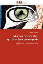 Mise En Oeuvre D''Un Systeme Java En Imagerie