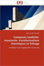 Composes Kaolinite-Muscovite: Transformations Thermiques Et Frittage