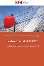 Le Droit Penal Et La Cedh: 4b-25