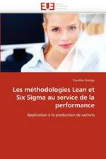 Les Methodologies Lean Et Six SIGMA Au Service de La Performance: Une Evaluation Du Modele Riskmetrics