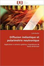 Diffusion Inelastique Et Polarimetrie Neutronique