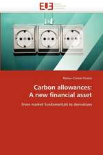 Carbon allowances: A new financial asset