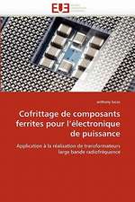 Cofrittage de composants ferrites pour l'électronique de puissance