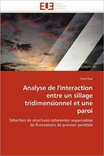 Analyse de l'interaction entre un sillage tridimensionnel et une paroi