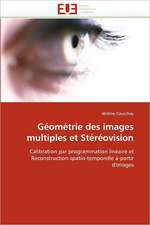 Geometrie Des Images Multiples Et Stereovision