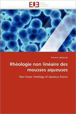 Rhéologie non linéaire des mousses aqueuses