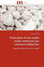 Evaluation D''Une Argile Molle Renforcee Par Colonnes Ballastees: Destins Du Reel Feminin