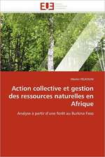 Action collective et gestion des ressources naturelles en Afrique