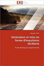 Génération et mise en forme d'impulsions térahertz