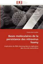 Bases moléculaires de la persistance des rétrovirus foamy