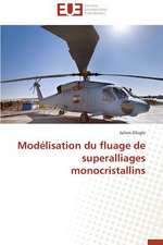 Modelisation Du Fluage de Superalliages Monocristallins