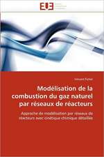 Modélisation de la combustion du gaz naturel par réseaux de réacteurs