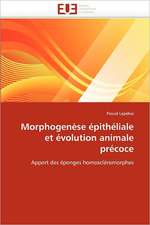 Morphogenèse épithéliale et évolution animale précoce