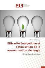 Efficacite Energetique Et Optimisation de La Consommation D'Energie: Le Cas Espagnol