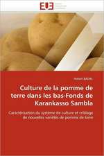 Culture de la pomme de terre dans les bas-Fonds de Karankasso Sambla