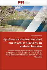 Système de production basé sur les eaux pluviales du sud-est Tunisien