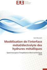 Modelisation de L'Interface Metal/Electrolyte Des Hydrures Metalliques: Bilan Et Perspectives (2001-2008)