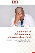 Sentiment de Plafonnement Et Engagement Au Travail: Le Cas Delta Sante