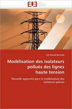 Modélisation des isolateurs pollués des lignes haute tension