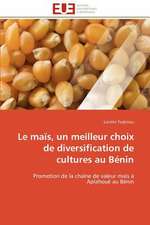 Le Mais, Un Meilleur Choix de Diversification de Cultures Au Benin