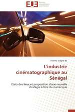 L'Industrie Cinematographique Au Senegal: Vies Sociales Et Vies Privees